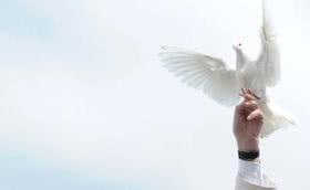 23 February: Day of Prayer and Fasting for Peace