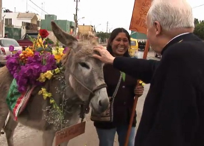 En un viaje a Perú, acaricia un burro.