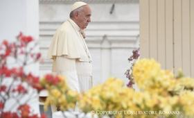 "Our Lord's wounds are a sign of mercy"