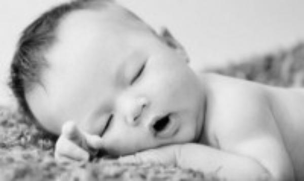 「生命の擁護者」としてのあり方