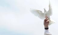 23 de fevereiro: "Dia de oração e jejum pela paz"