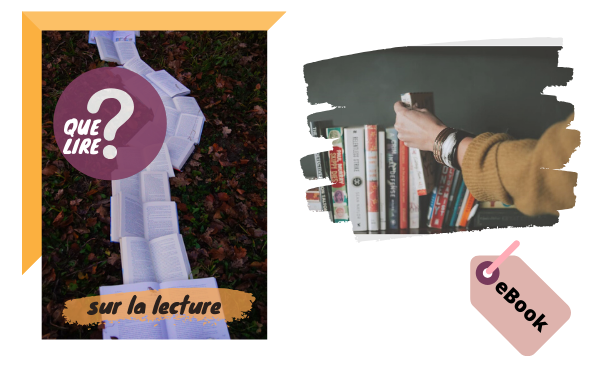 eBook - Que lire ?