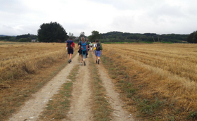 Diversi percorsi, un solo cammino