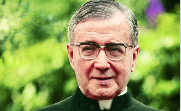 Card. Crescenzio Sepe su "Studi Cattolici"
