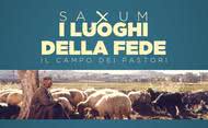 Saxum: i luoghi della fede - Campo dei pastori