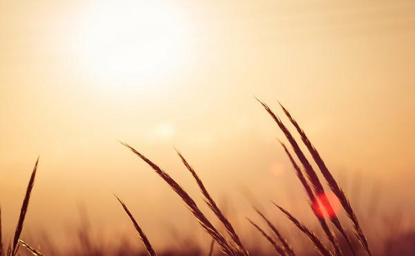 O Amor que abraça o mundo (A Criação, 2)