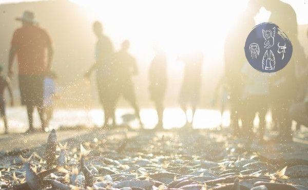 Commentary on the Gospel: Concern for Everyone’s Sanctity