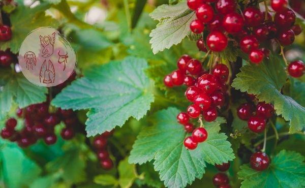 Au fil de l'Évangile du vendredi : Dieu a confiance en nous