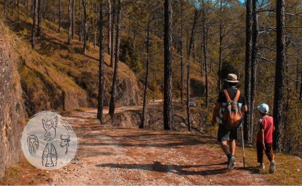 Evangelio del viernes: Jesús, camino y modelo del caminante
