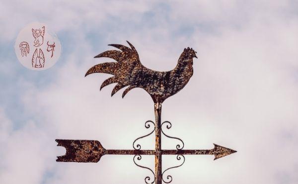Au fil de l’Évangile de vendredi "Où est ton cœur" ?