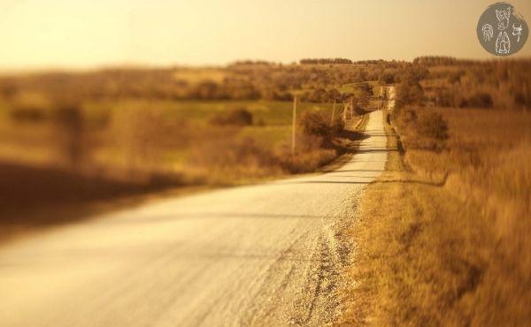 Au fil de l’Évangile de dimanche : l’unité de vie