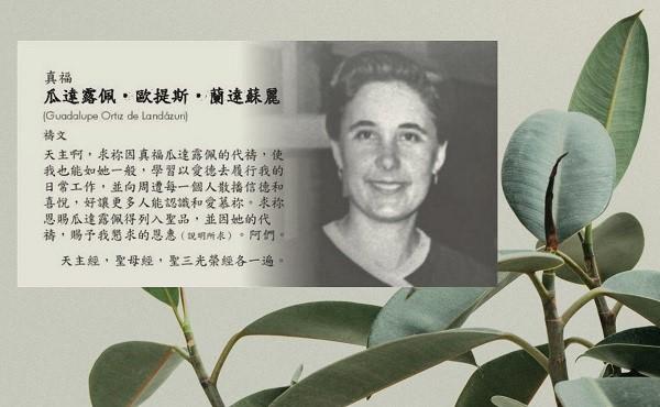我坚持的请求