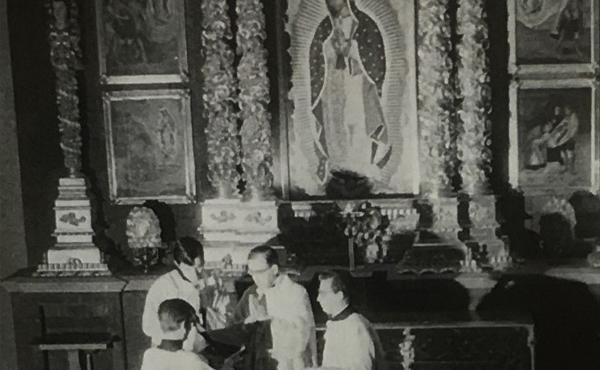 Serenading Our Lady of Guadalupe