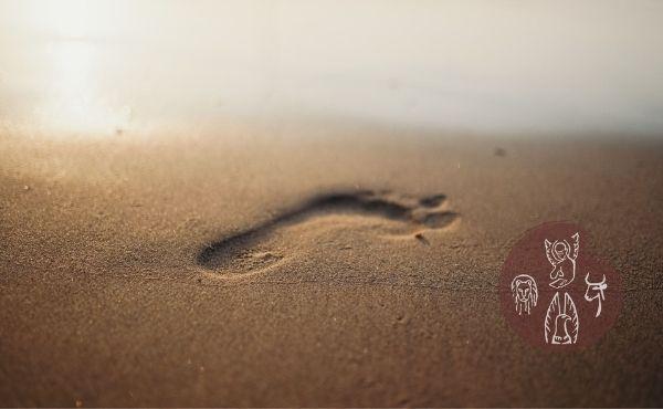 Vangelo della domenica: Lasciate le reti lo seguirono