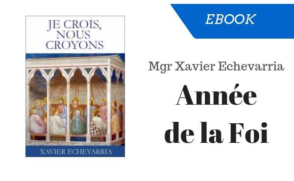 “Je crois, nous croyons”: ebook du prélat à la clôture de l’Année de la Foi