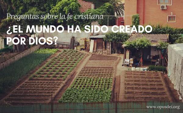 ¿El mundo ha sido creado por Dios?