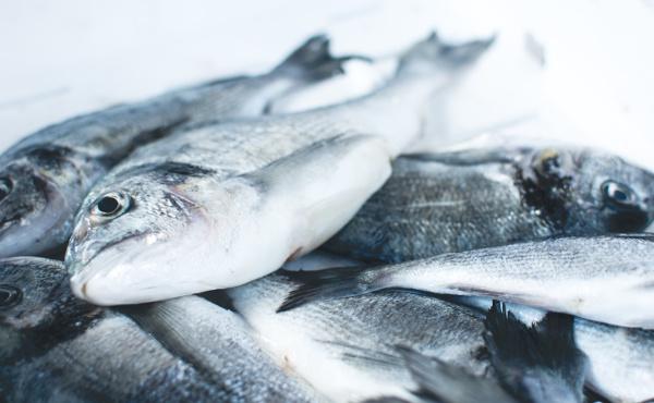 Commentaire d’Évangile: des pains et des poissons