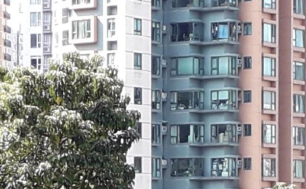 我长大了的家庭的住宅
