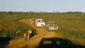 60 years ago in East Africa, Part 2