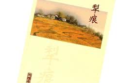 《犁痕》