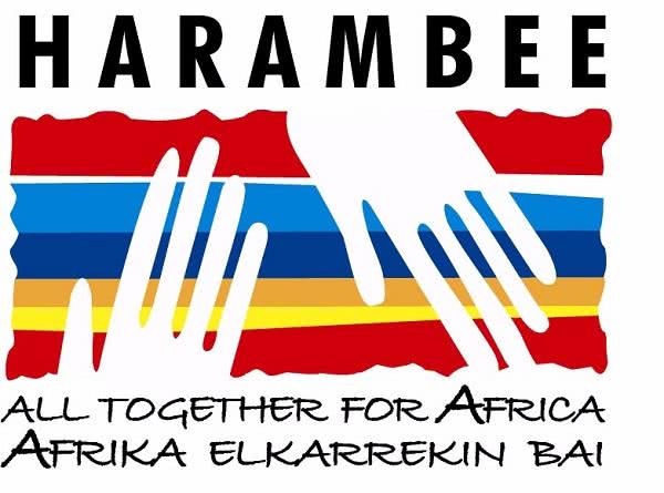 Afrika Elkarrekin Bai