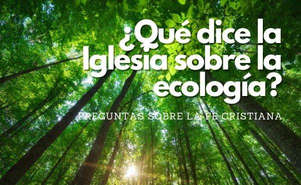 ¿Qué dice la Iglesia sobre la ecología?