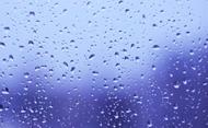 下雨了,農田有救了!