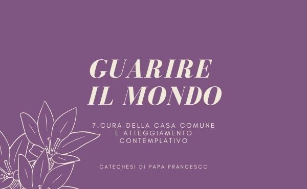 7. Cura della casa comune e atteggiamento contemplativo