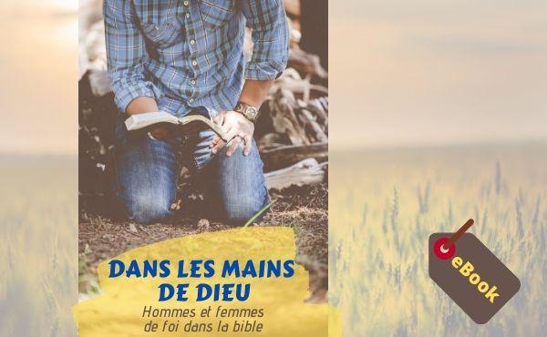eBook "Dans les mains de Dieu"