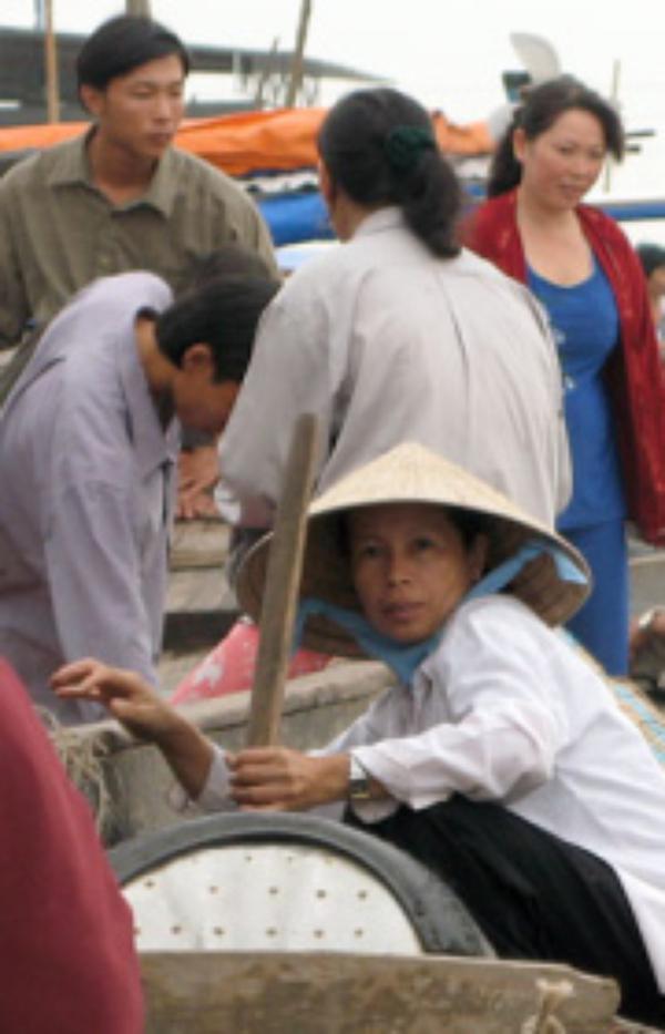 Hoạt động