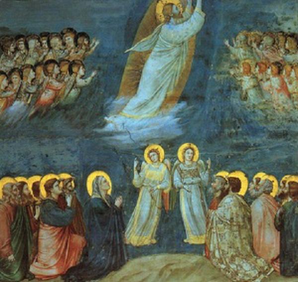 The Christian's Hope