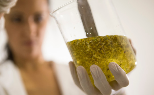 Opus Dei - Mara: «Lo que aprendí con la profesora Guadalupe»