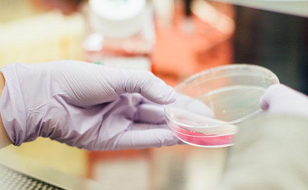 La leucemia diagnosticada desapareció