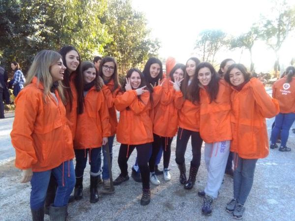 Incêndios em Portugal: ajudar Serpins, Mangualde, Oliveira do Hospital e Seia