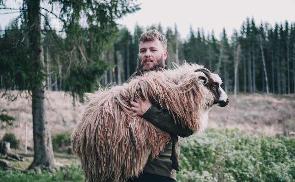 Commentary on the Gospel: The Lost Sheep