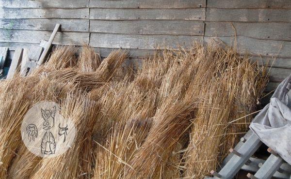 Commento al Vangelo: Dio non è ingenuo