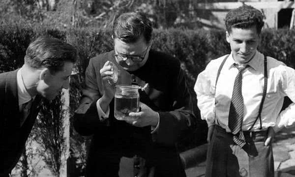 The Splendor of Charity: St. Josemaría’s Legacy