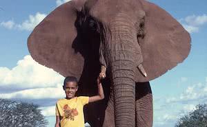 L'homme qui avançait avec les éléphants (il sera bientôt prêtre)