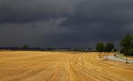 La pluie est arrivée, la récolte était assurée