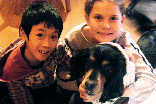 A aventura da adoção