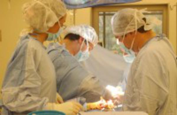 Labor solidaria desde el Hospital Universitario Austral (Argentina)