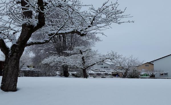 Des traces dans la neige : 90 ans au service de la société.