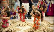 Dançando “Hula-Hula” em busca da santidade