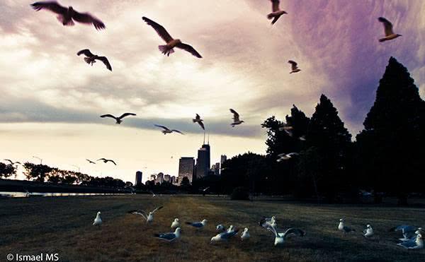 Cidadania no séc. XXI: Os desafios da liberdade