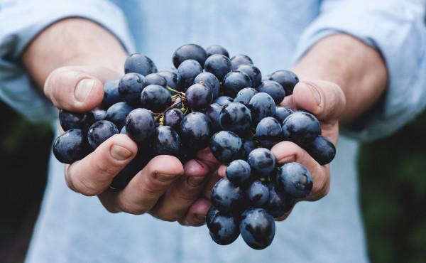 Commentary on the Gospel: Conversion