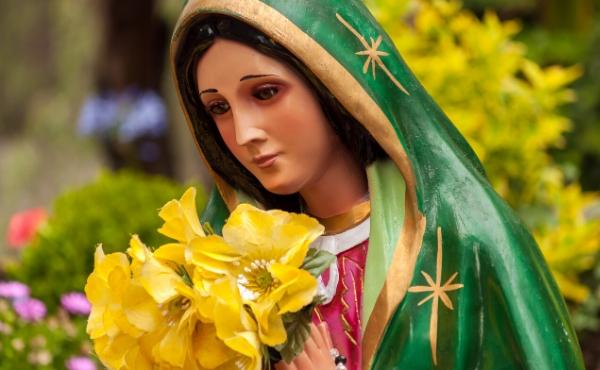 Meditazione del prelato | L'amicizia di Maria