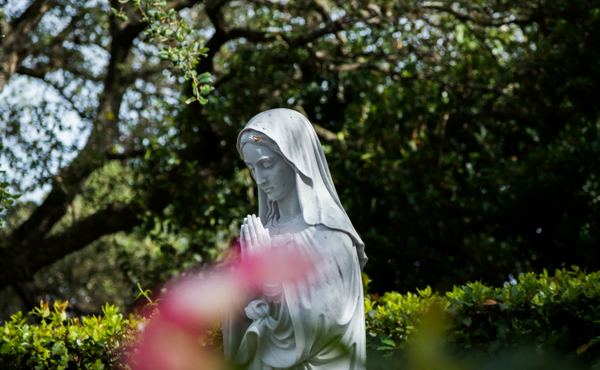 A Virgem Santa, causa da nossa alegria: homilia em áudio 