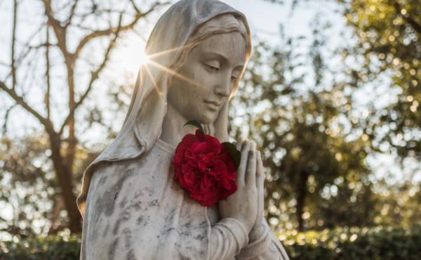 Maria Santíssima, Mãe de Deus e Nossa Mãe