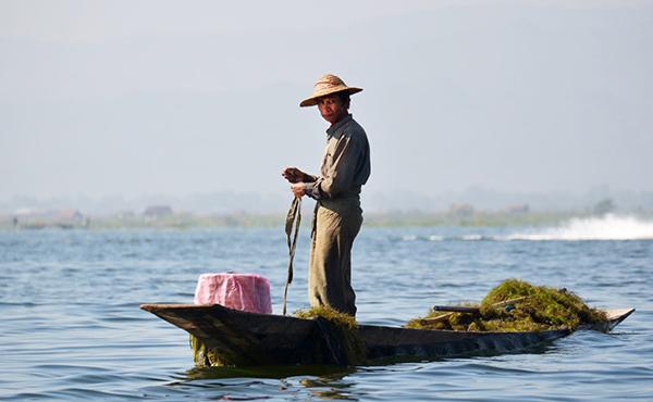 Llibre electrònic: El Papa Francesc a Myanmar i Bangla Desh