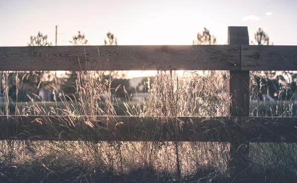 Commentary on the Gospel: The Door of the Sheep